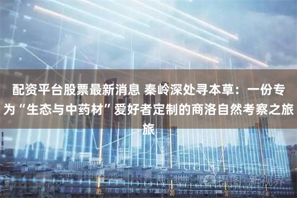 配资平台股票最新消息 秦岭深处寻本草：一份专为“生态与中药材”爱好者定制的商洛自然考察之旅